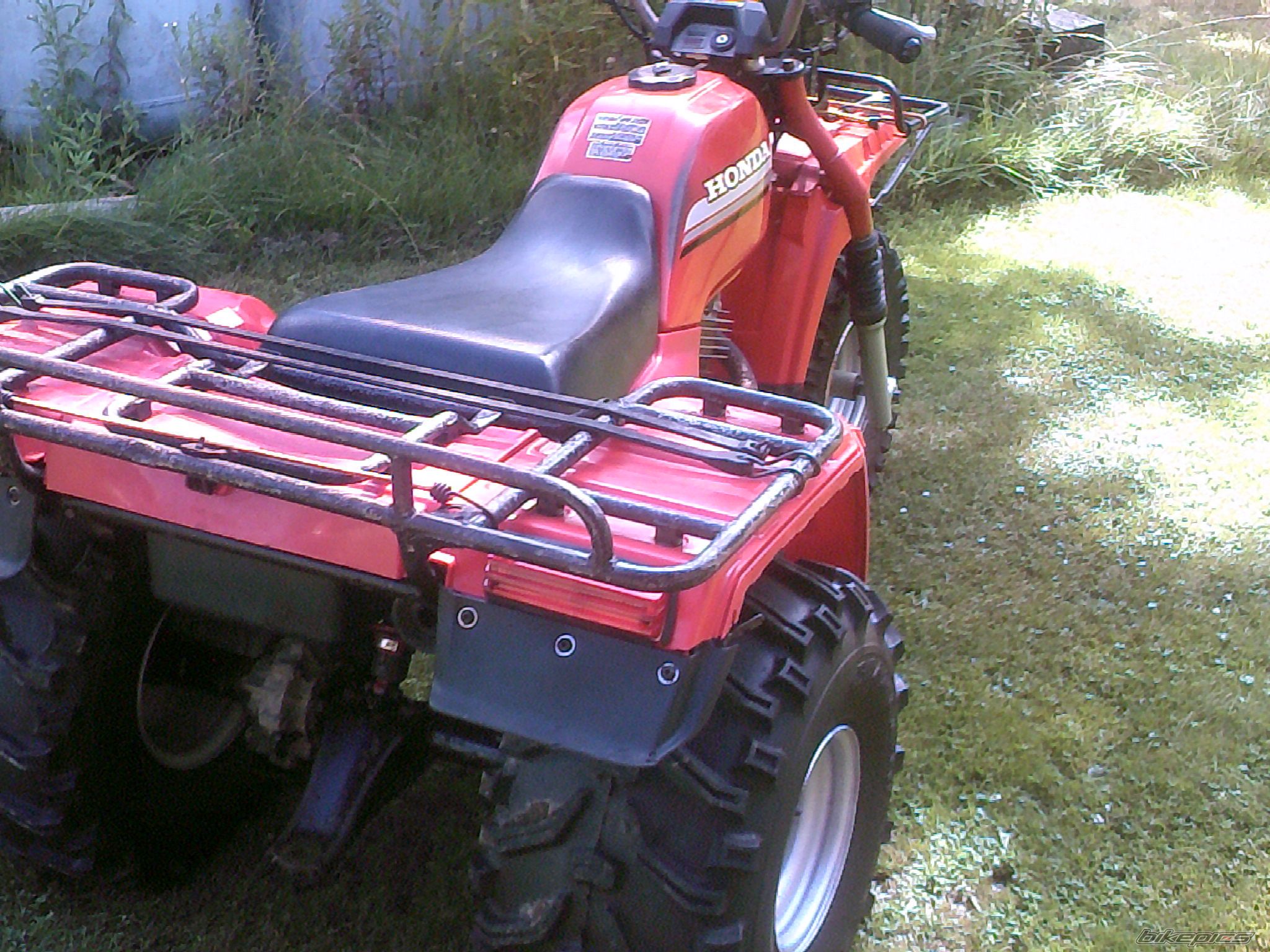 Big Red