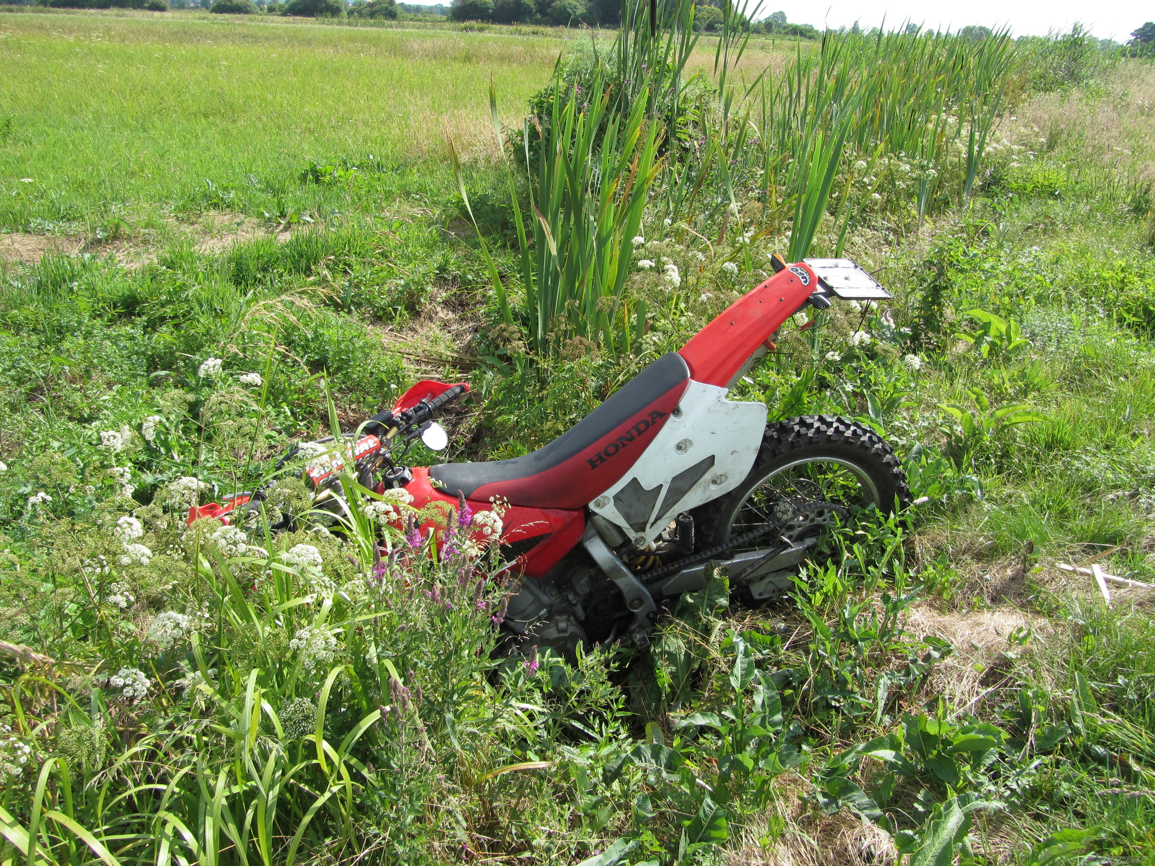 Photo 2685656