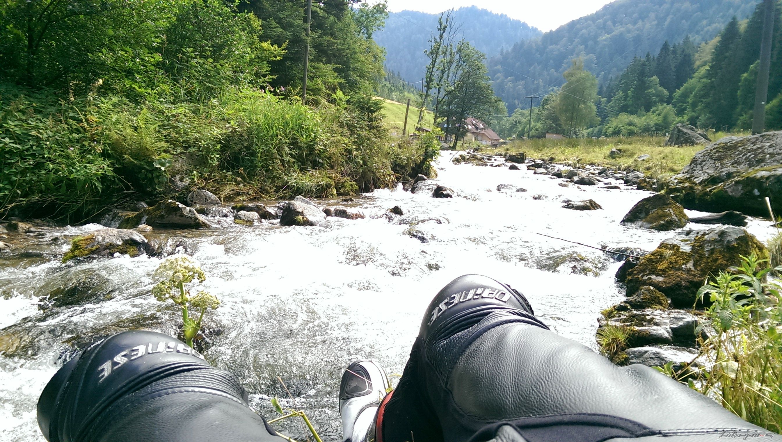 Photo 2685801
