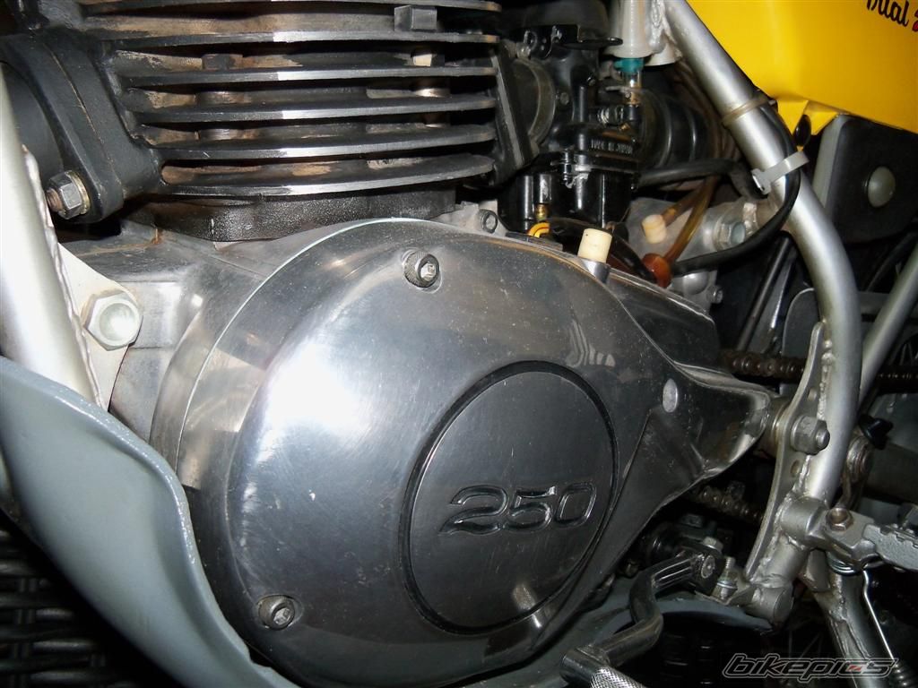 Photo 2685840