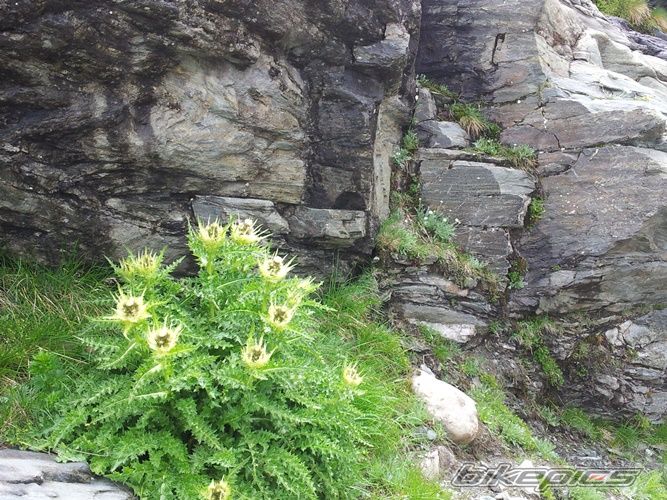 Photo 2685861