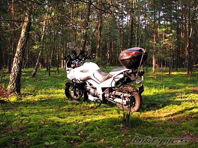 Photo 2685973