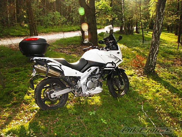 Photo 2685974