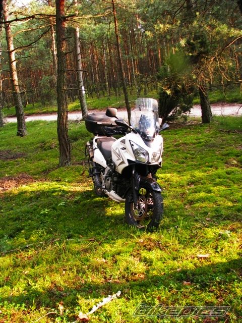 Photo 2685976