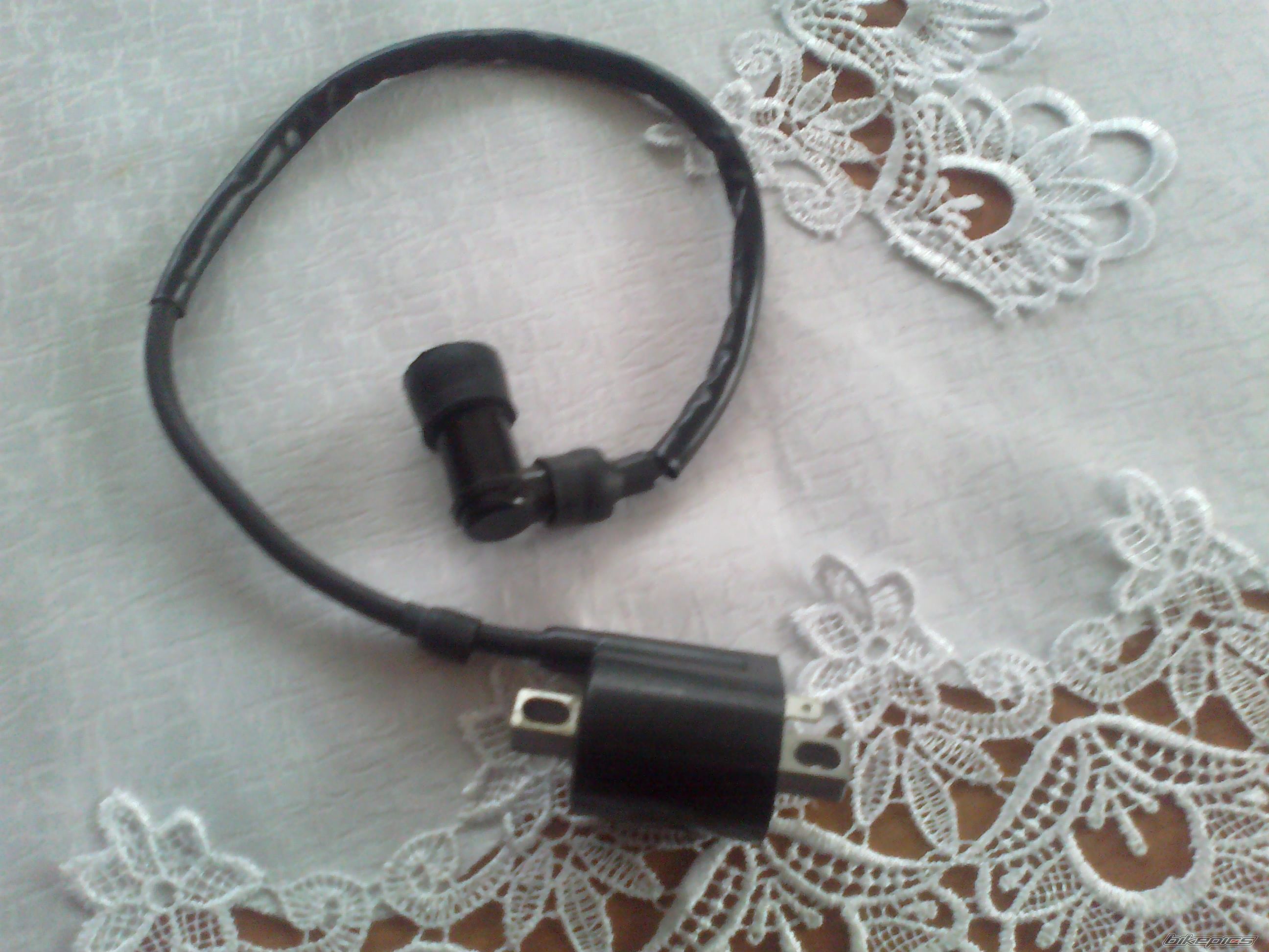 Photo 2686009