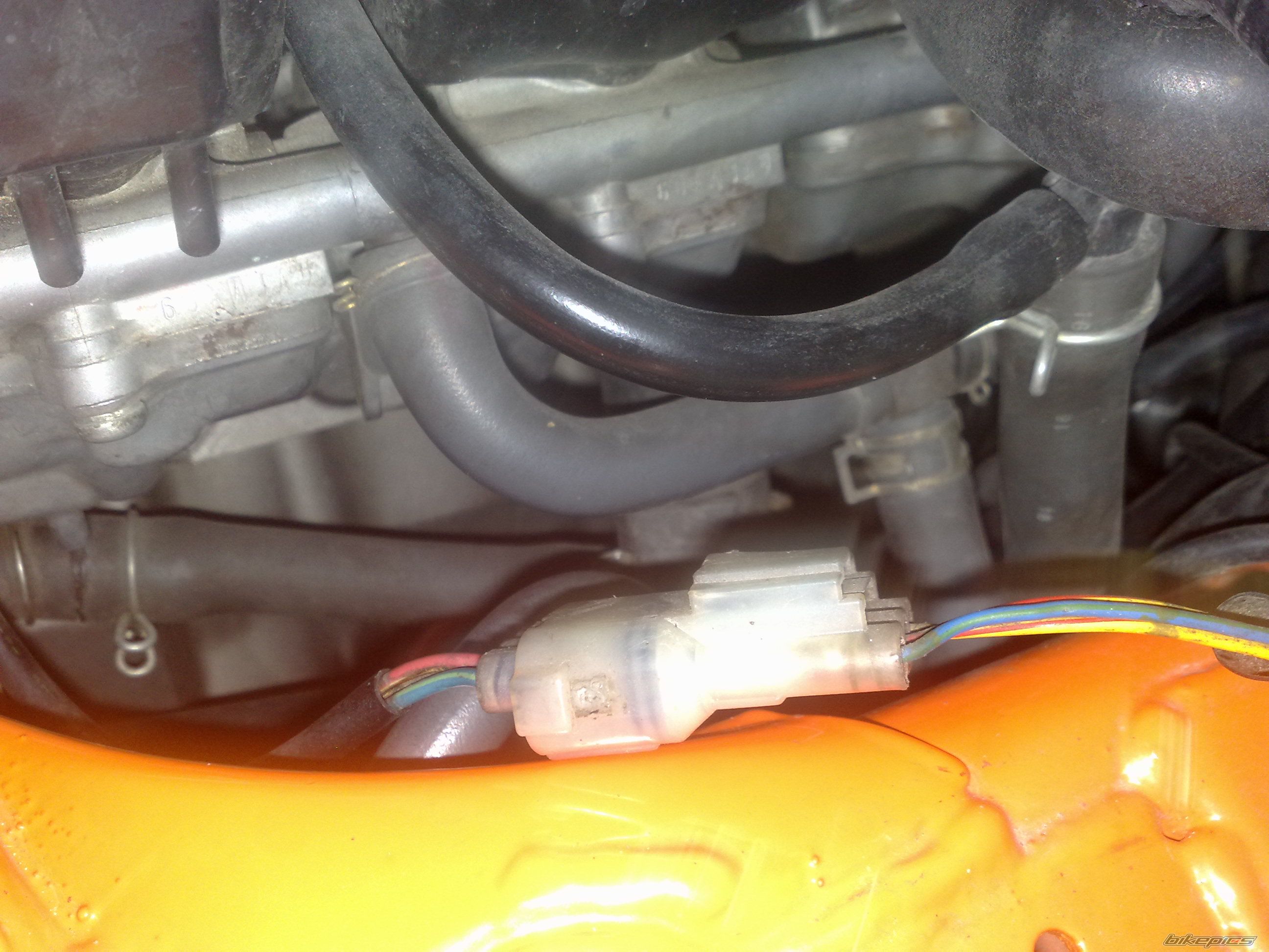 Photo 2686079