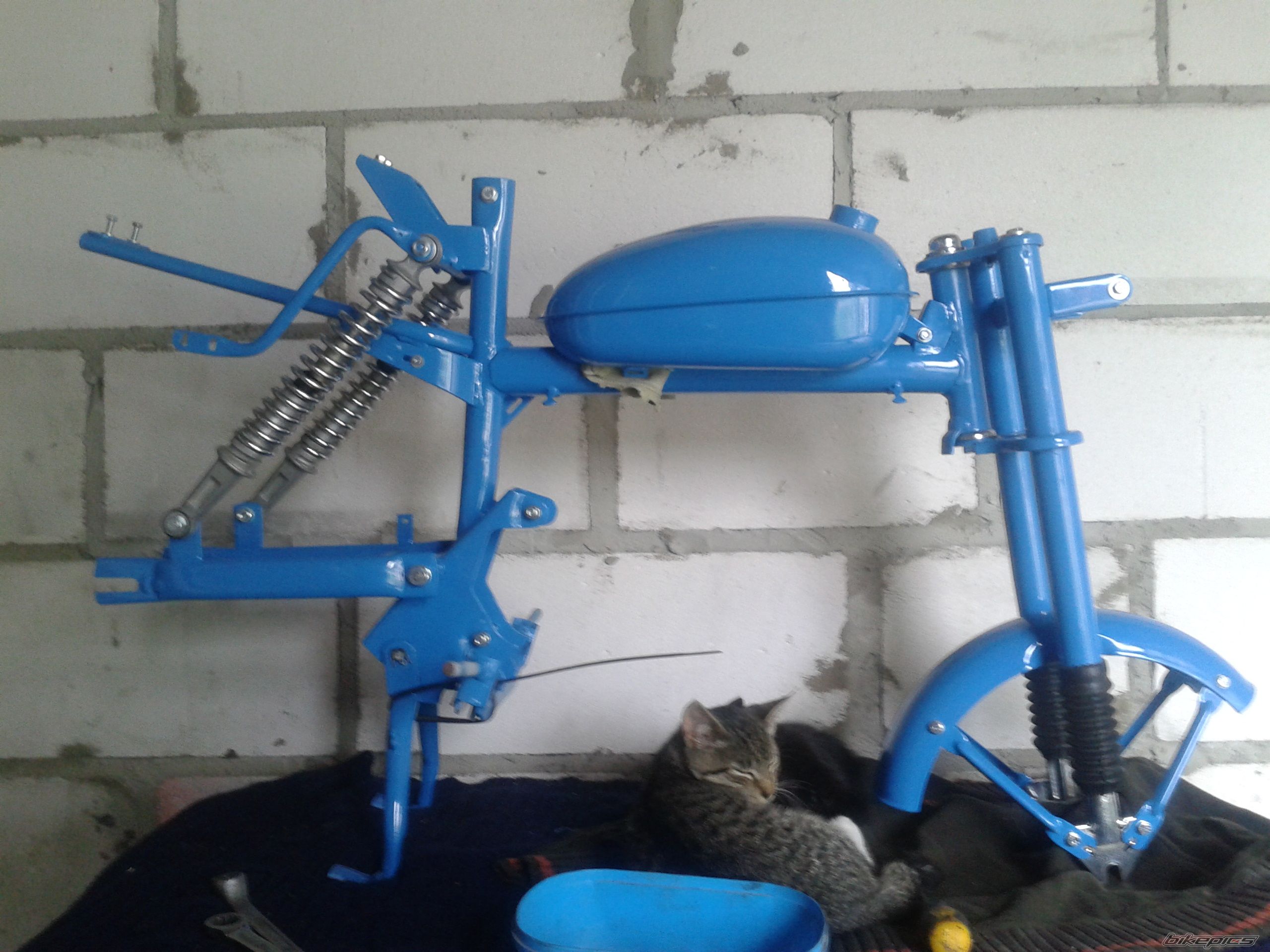Photo 2686086