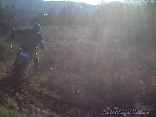 Photo 268620