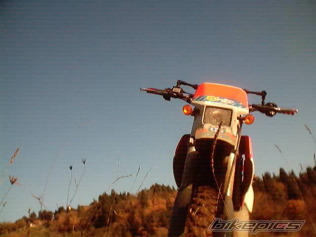 Photo 268622