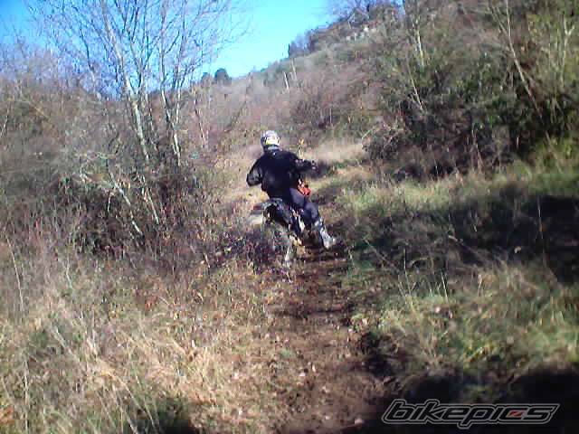 Photo 268623