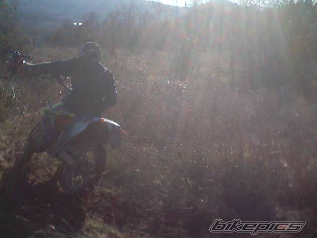 Photo 268625