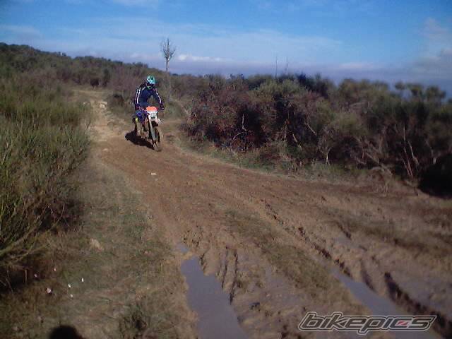 Photo 268629