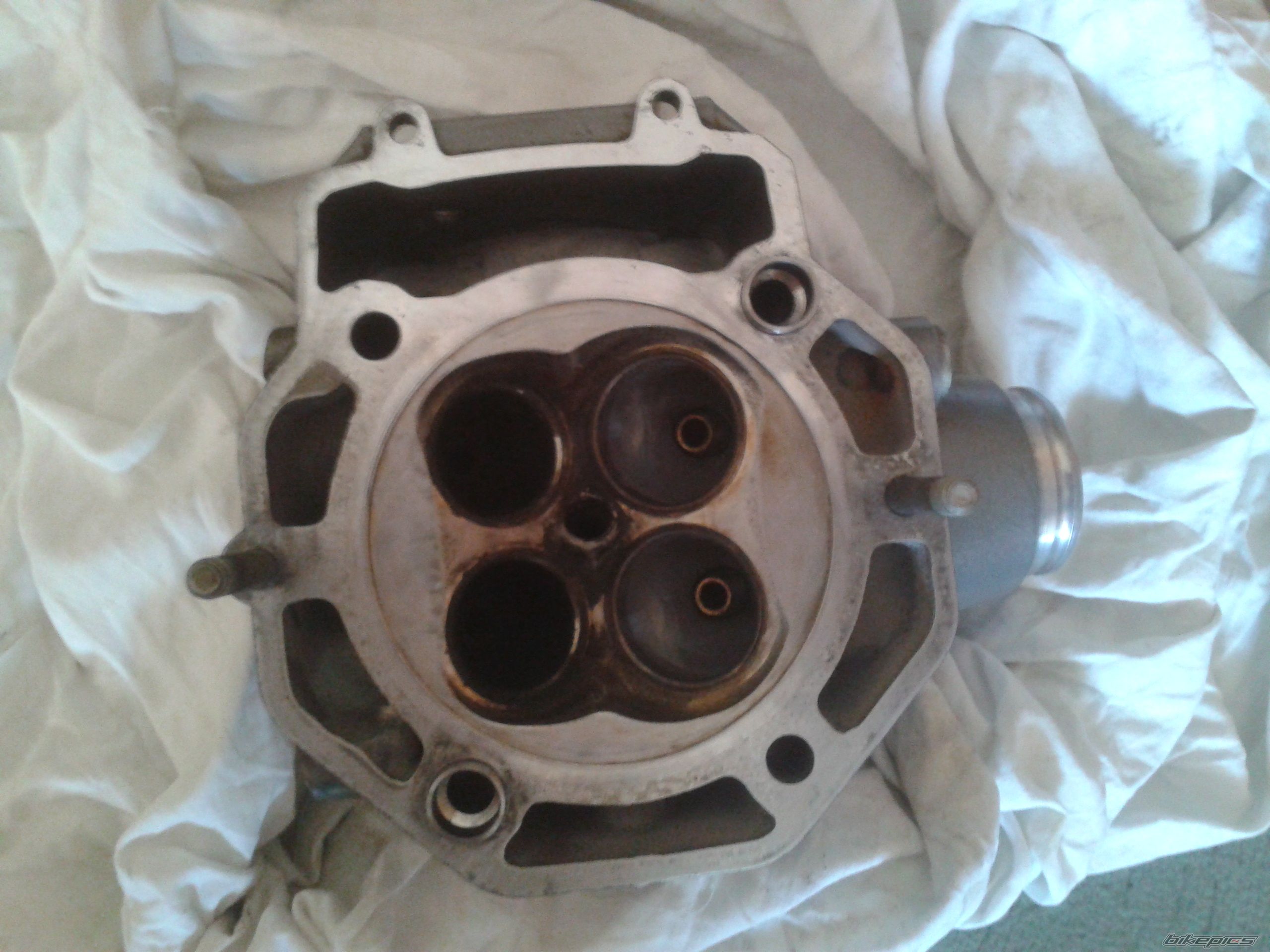 Photo 2686294