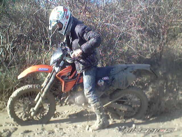 Photo 268631
