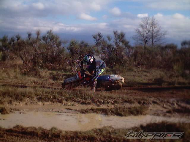 Photo 268633