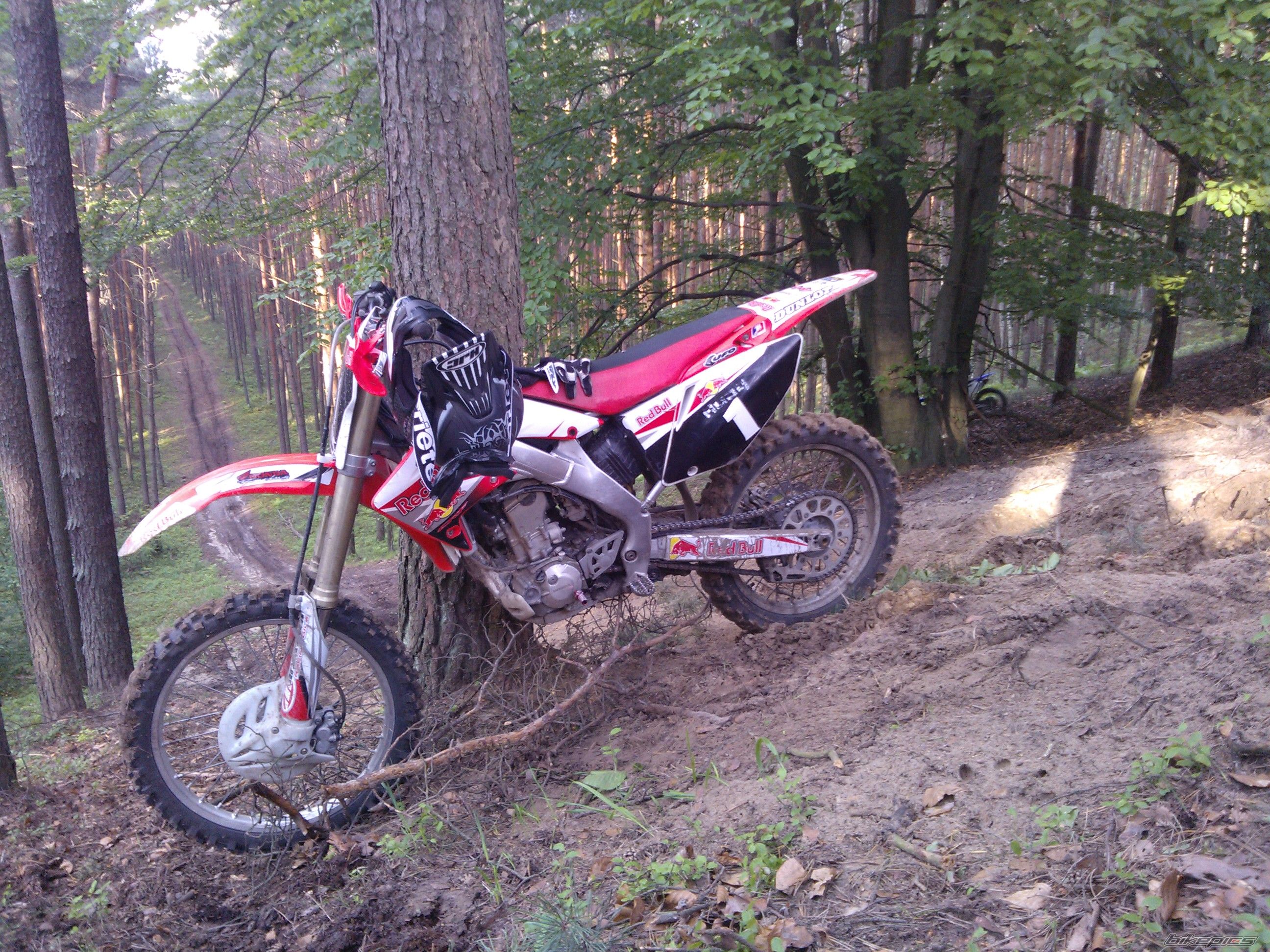 Photo 2686359