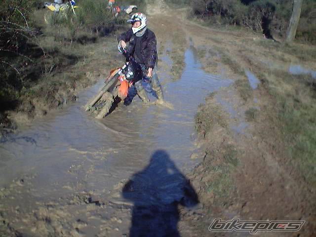 Photo 268637