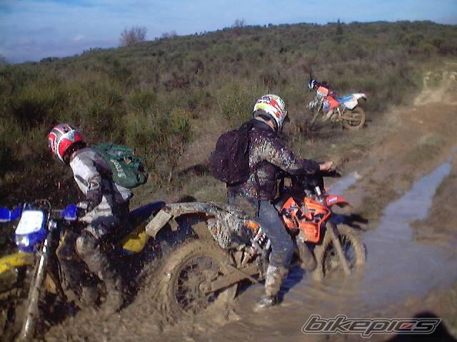 Photo 268642