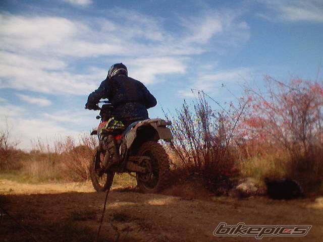 Photo 268645
