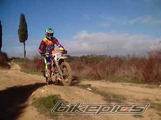 Photo 268648
