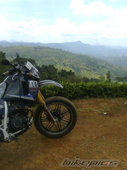 Photo 2686483