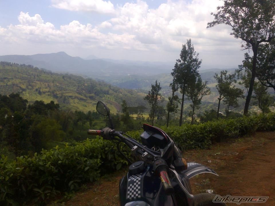 Photo 2686486