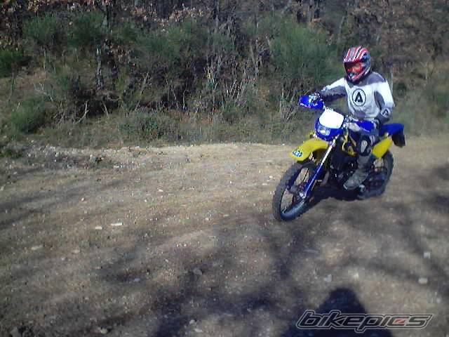 Photo 268649