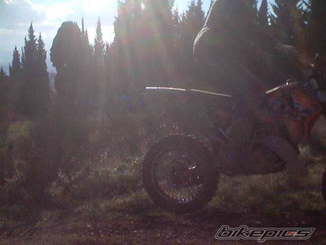 Photo 268652