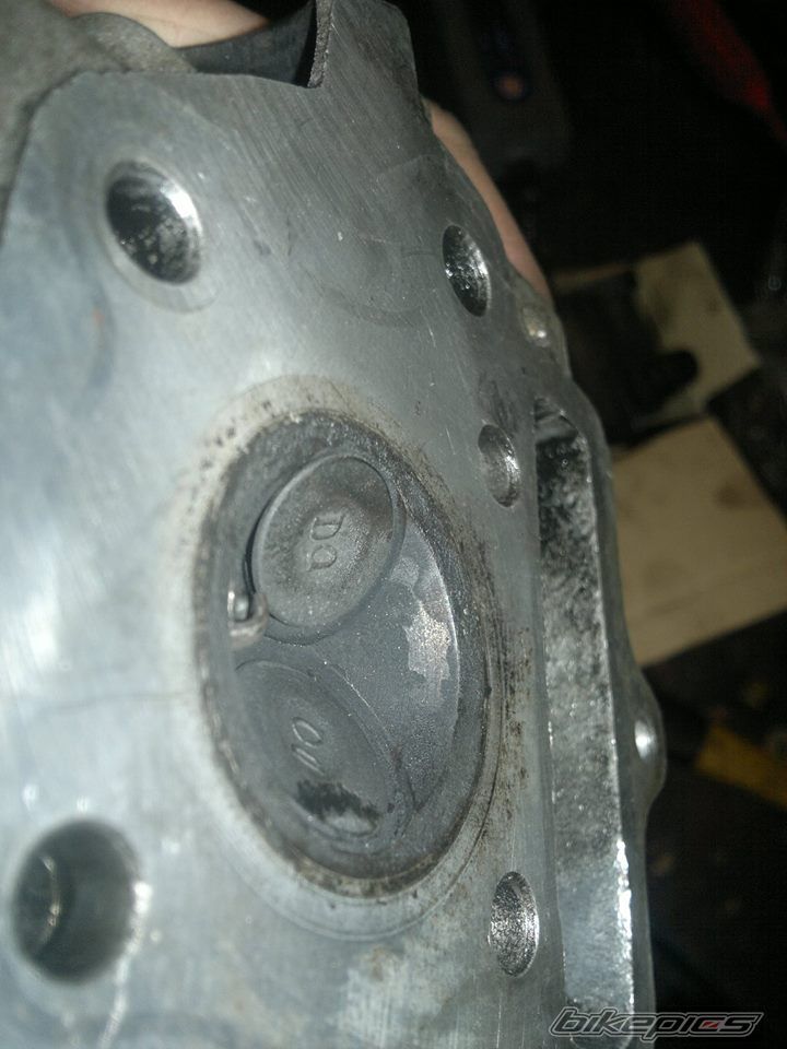 Photo 2686525