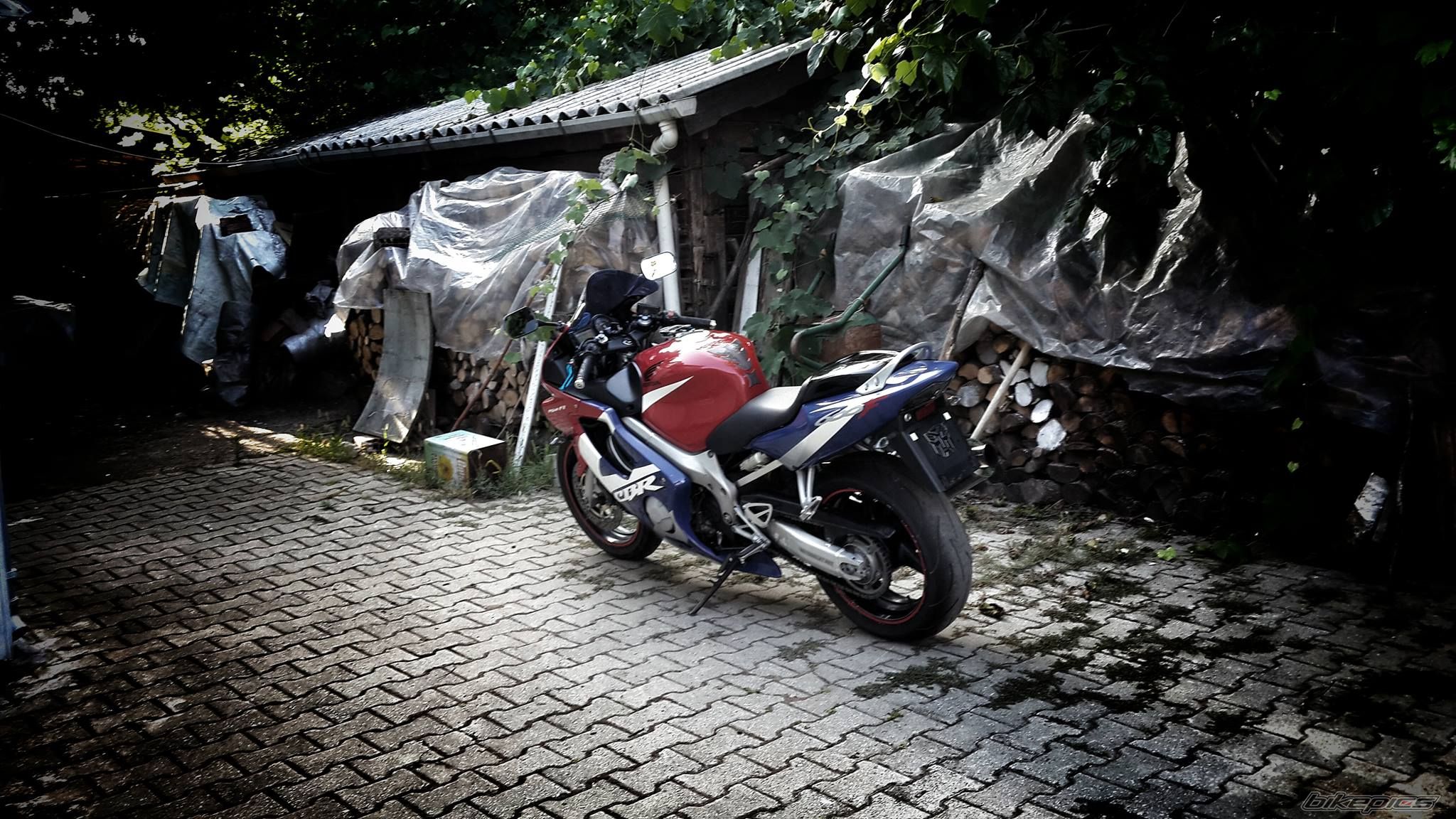 Photo 2686536