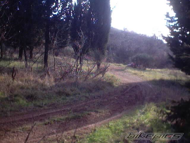 Photo 268655