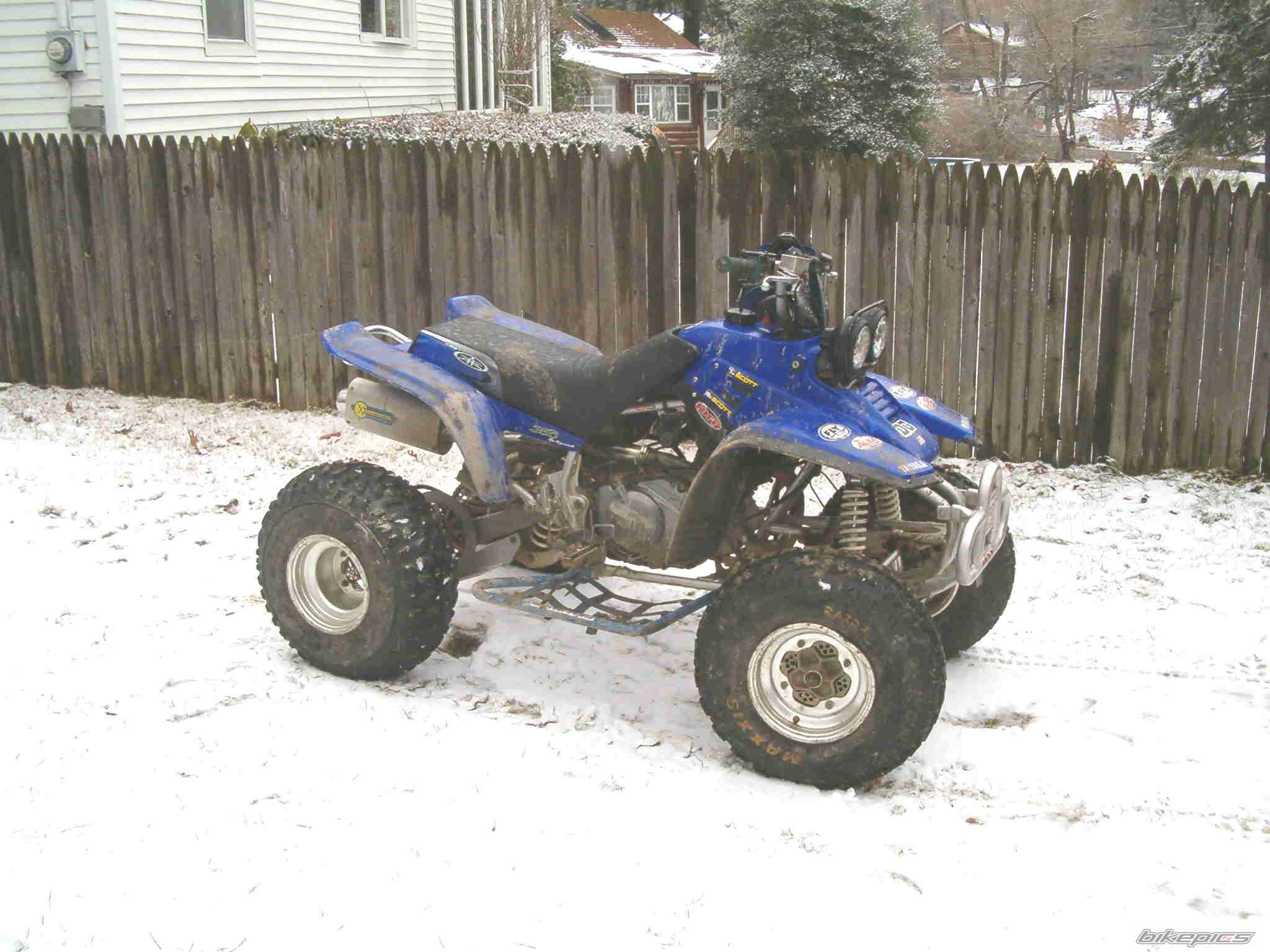 Photo 268657