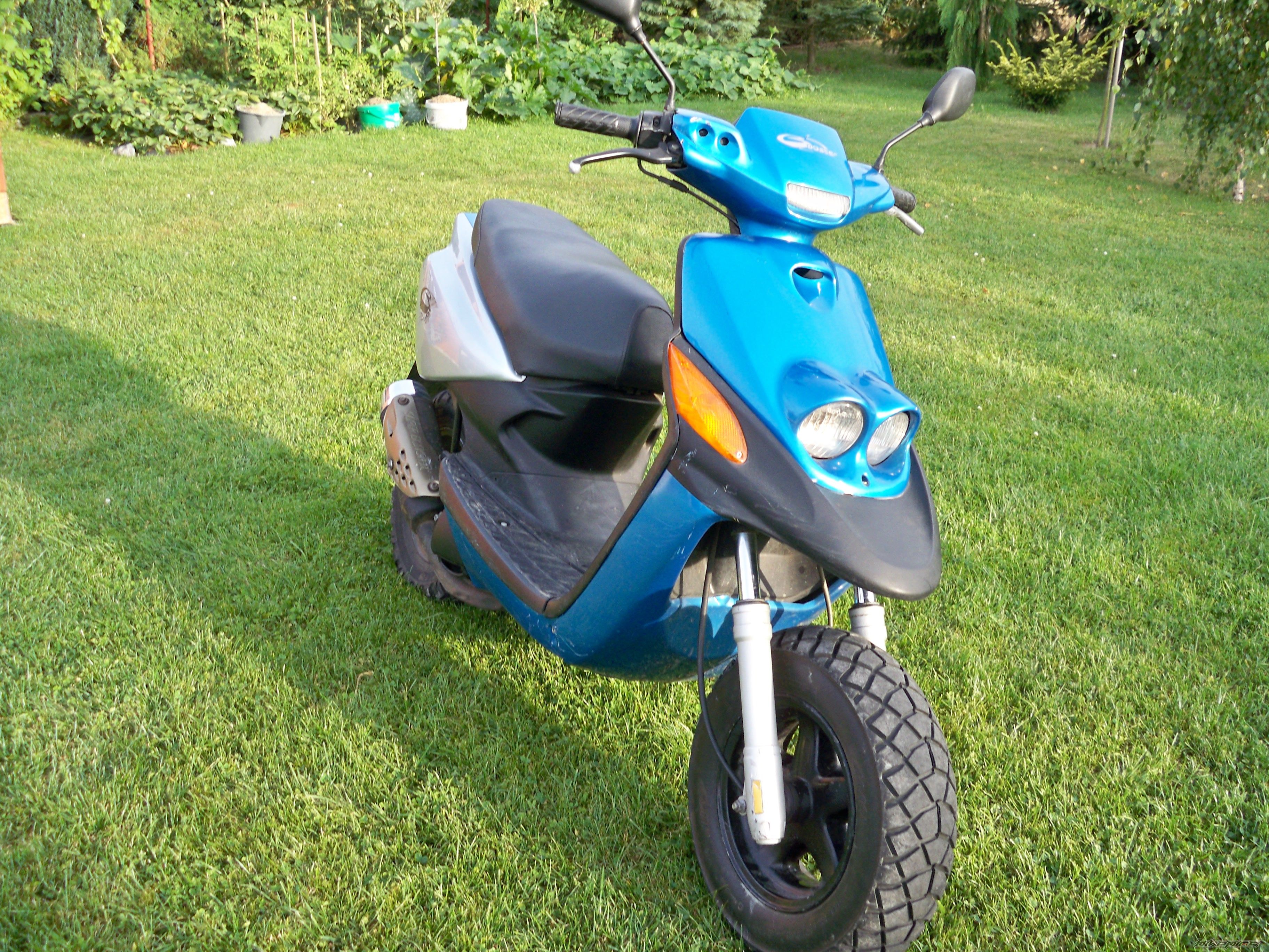 Photo 2686876