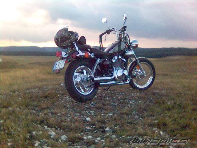 Photo 268701