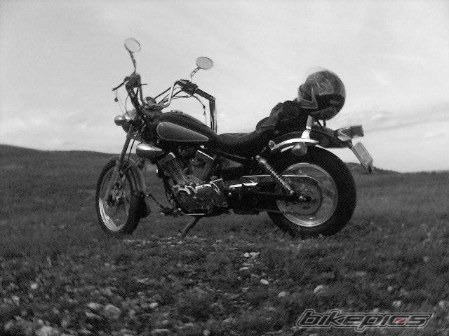 Photo 268702