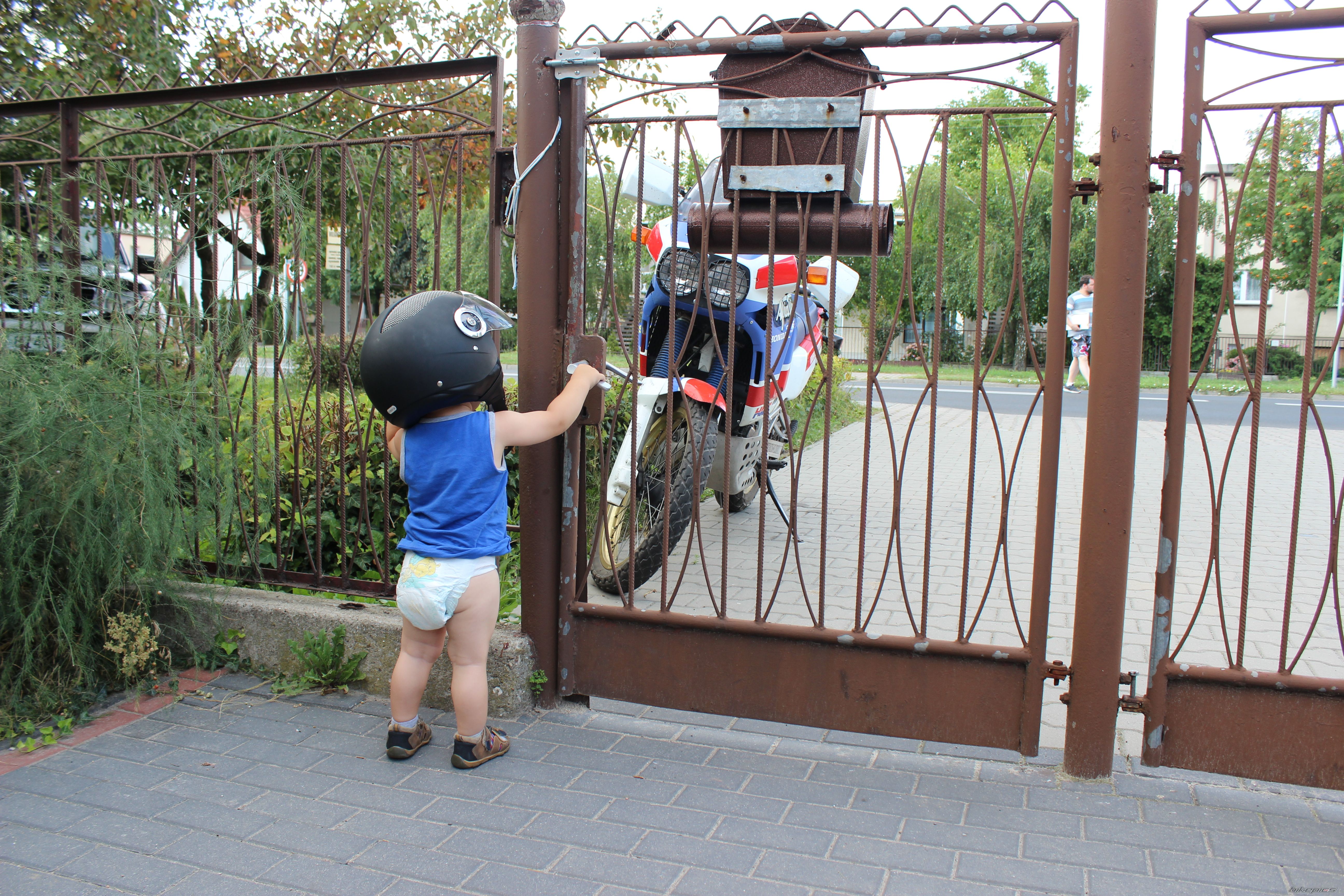 Photo 2687058