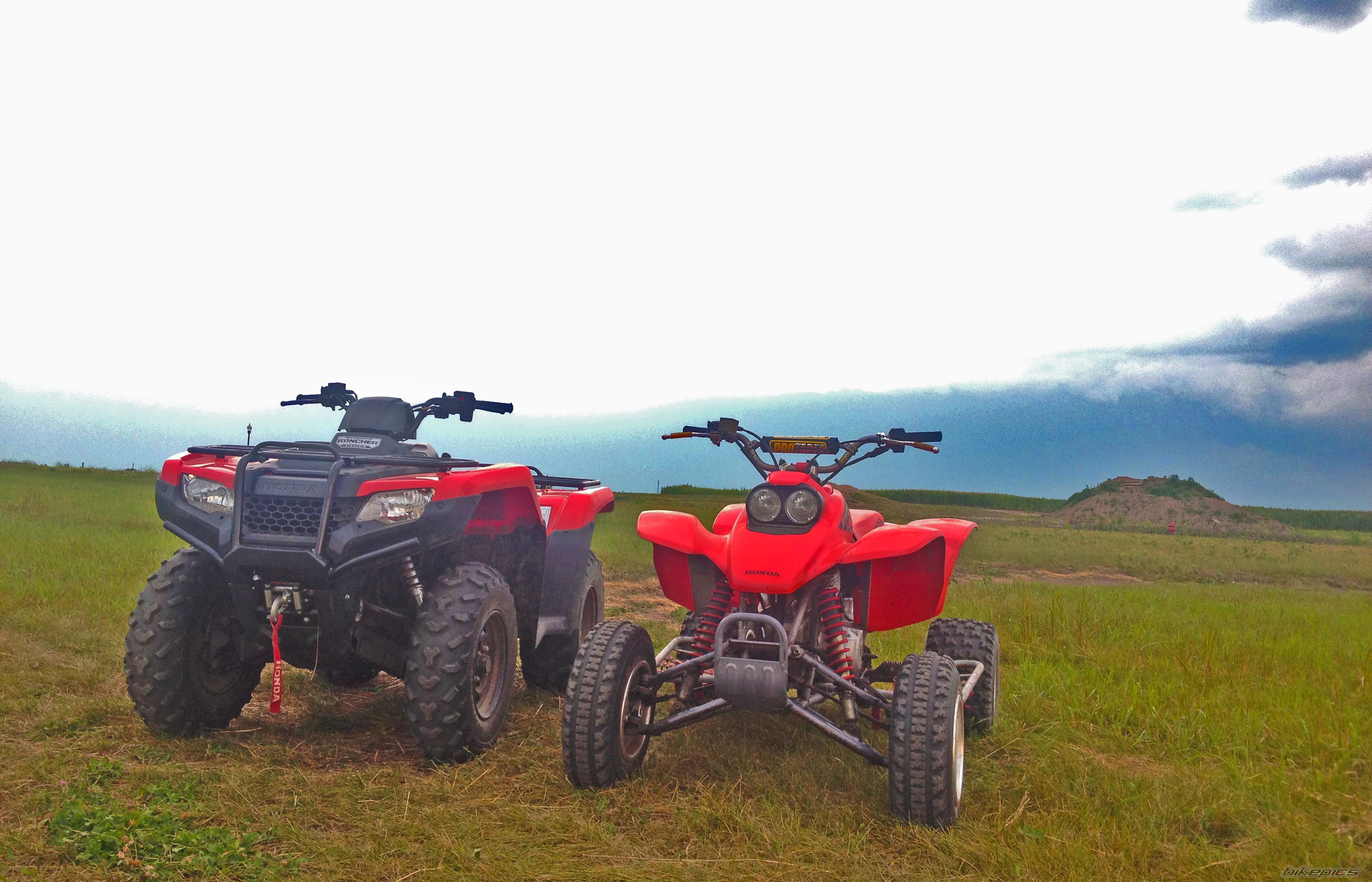 Photo 2687093