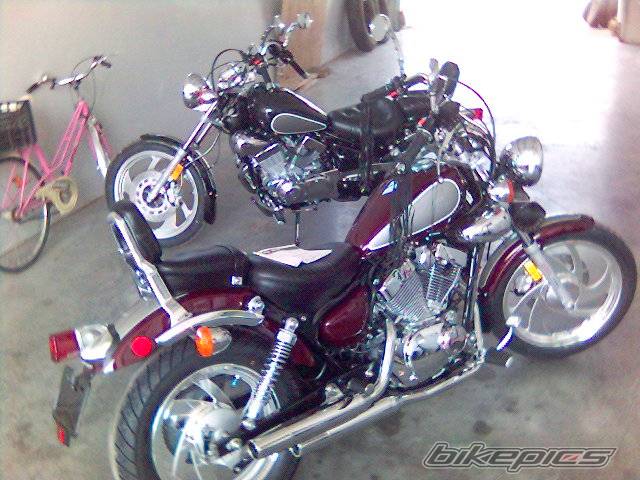 Photo 268716
