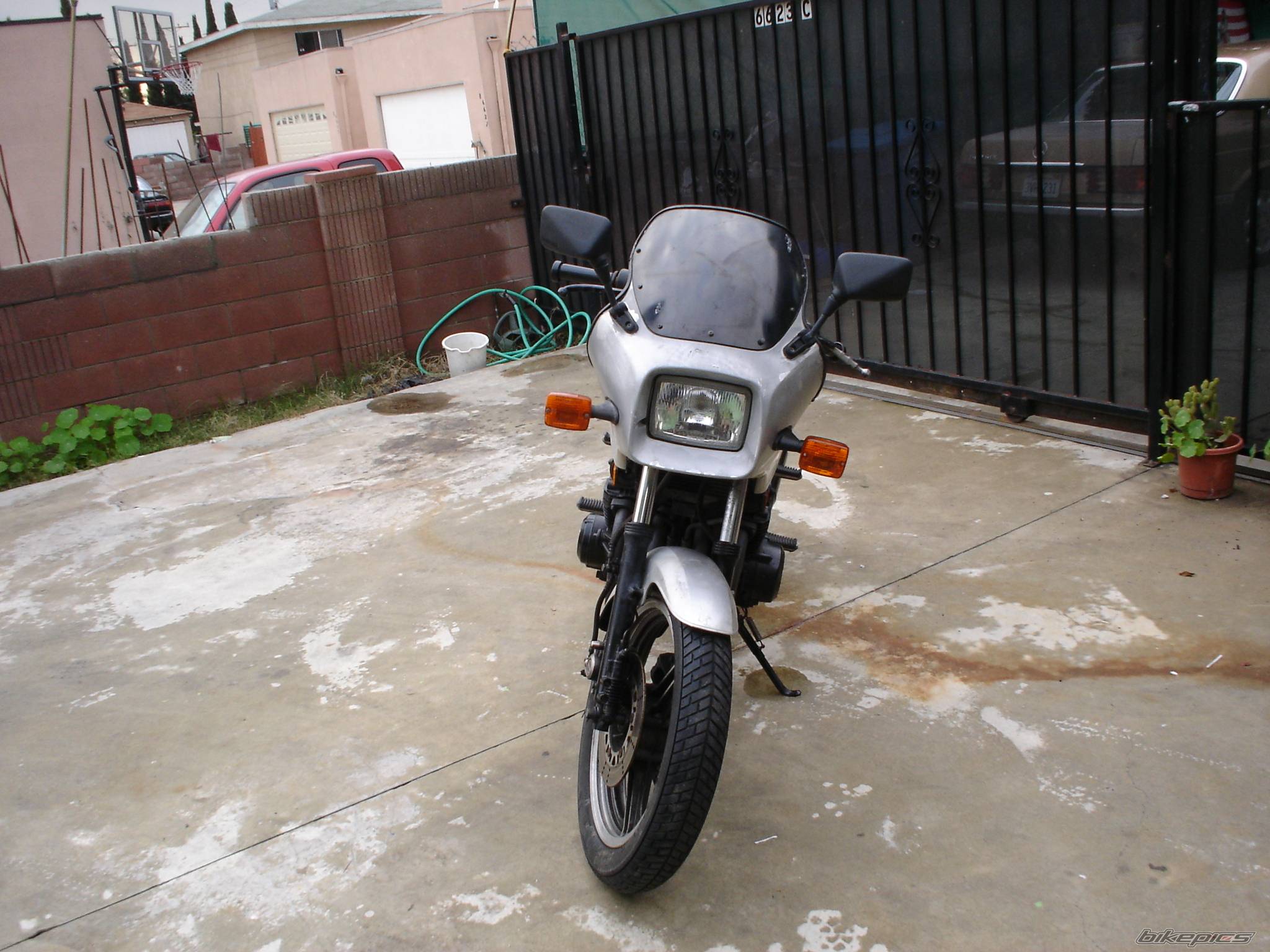 Photo 268725