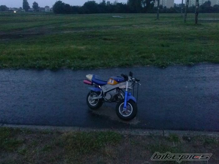 Photo 2687319