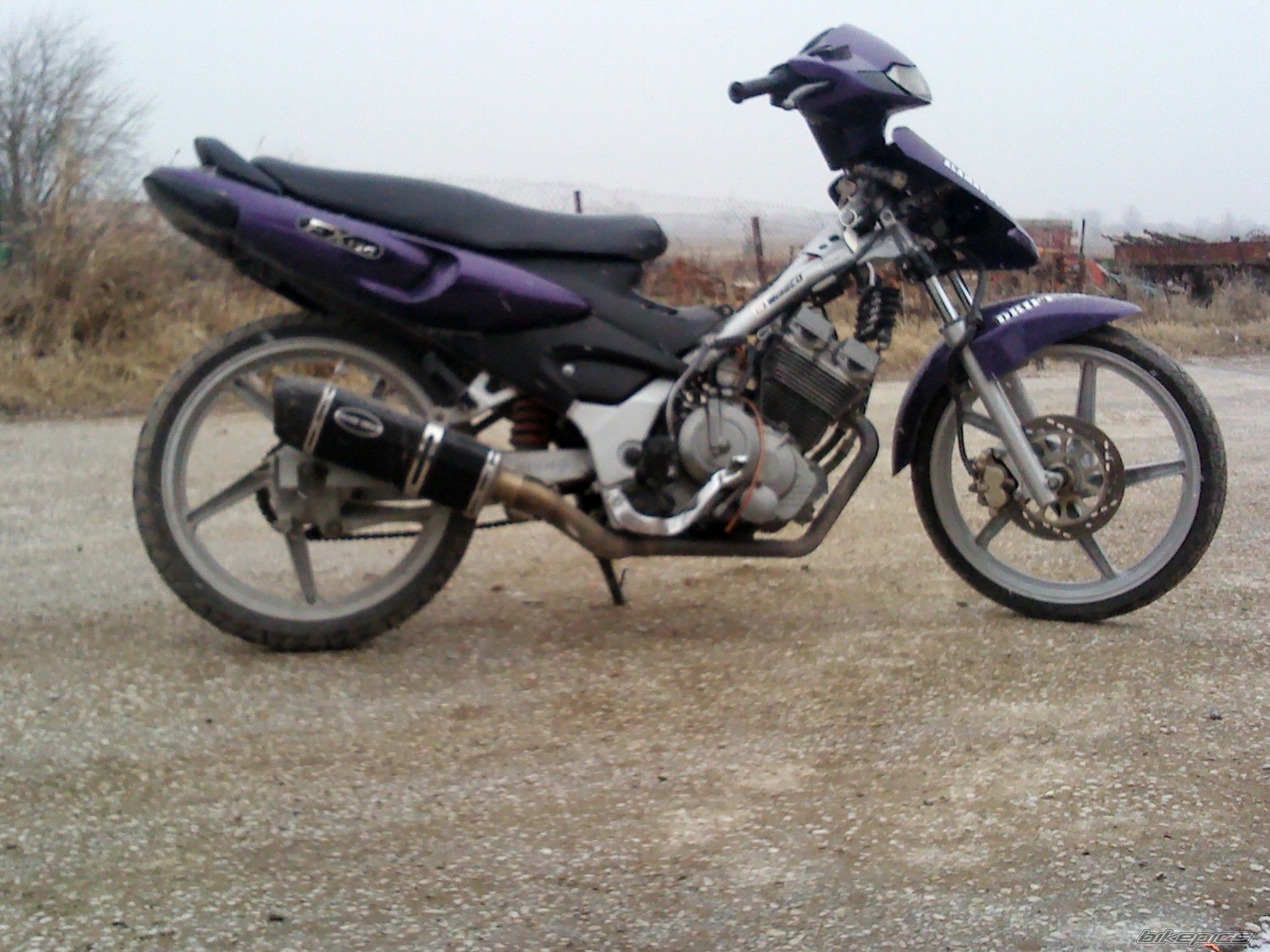 Photo 2687383