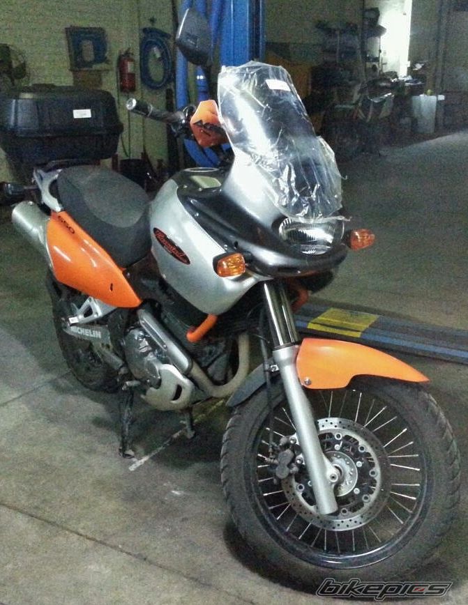 Photo 2687392