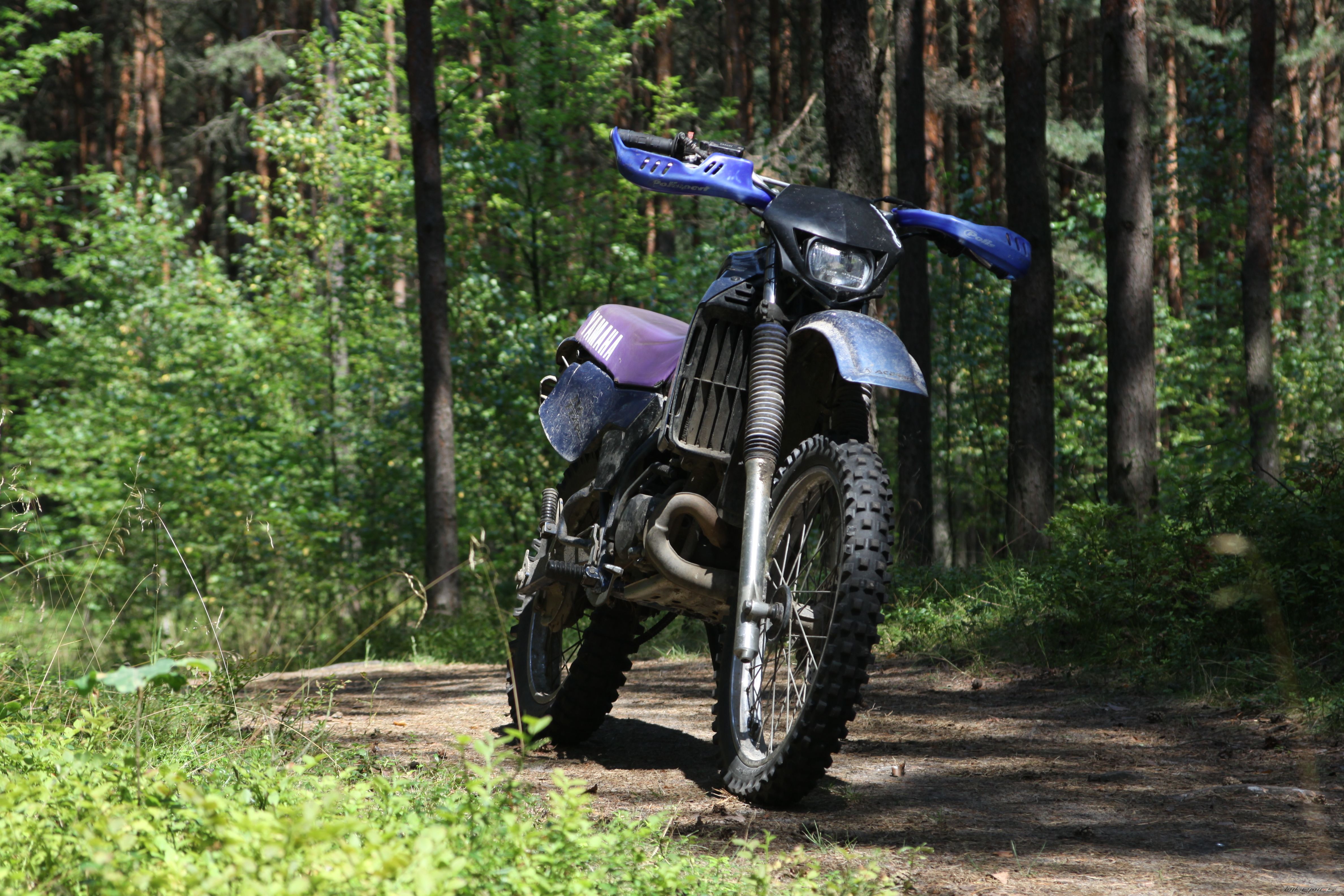 Bike Photo 2687401