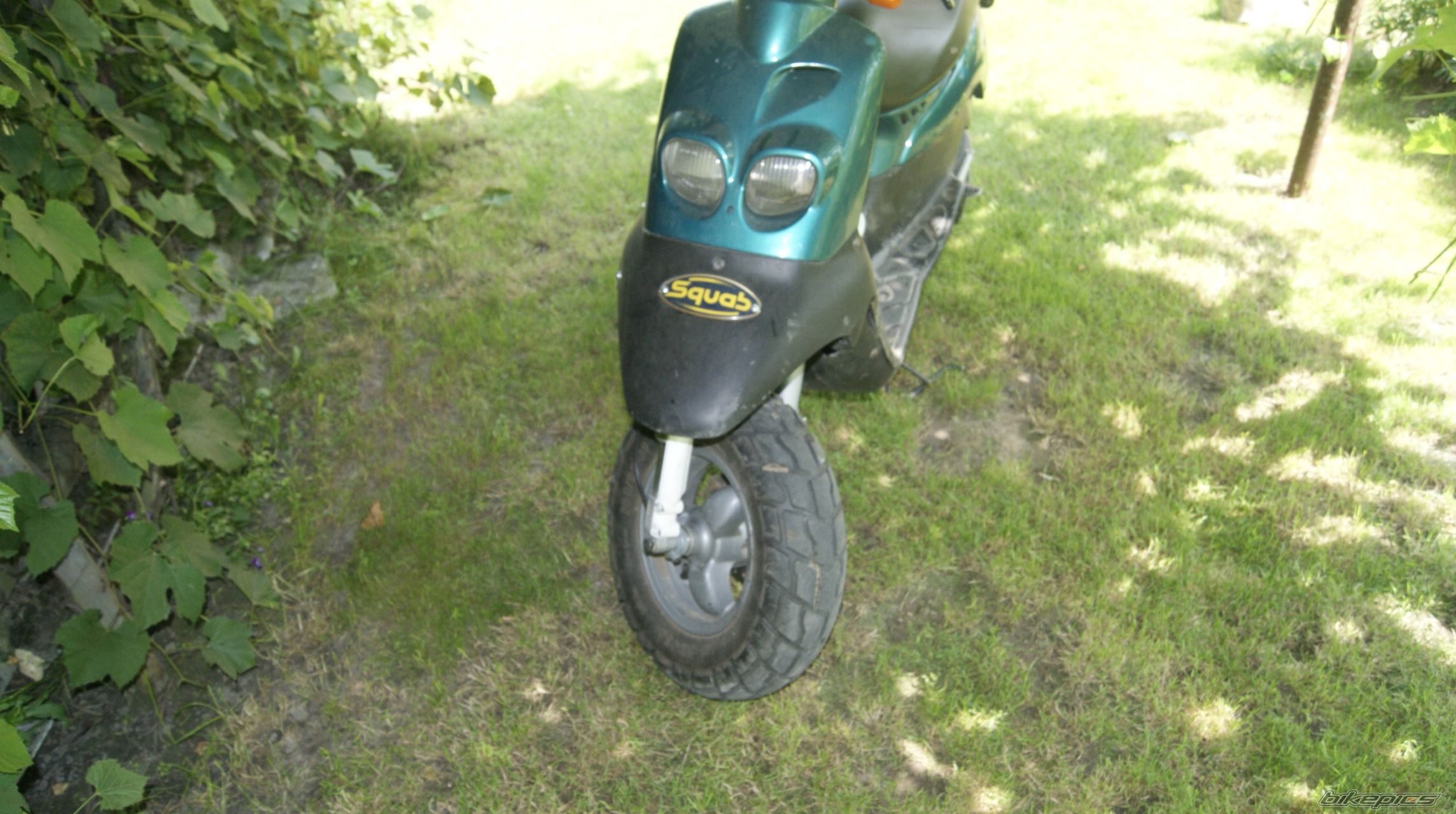 Photo 2687464