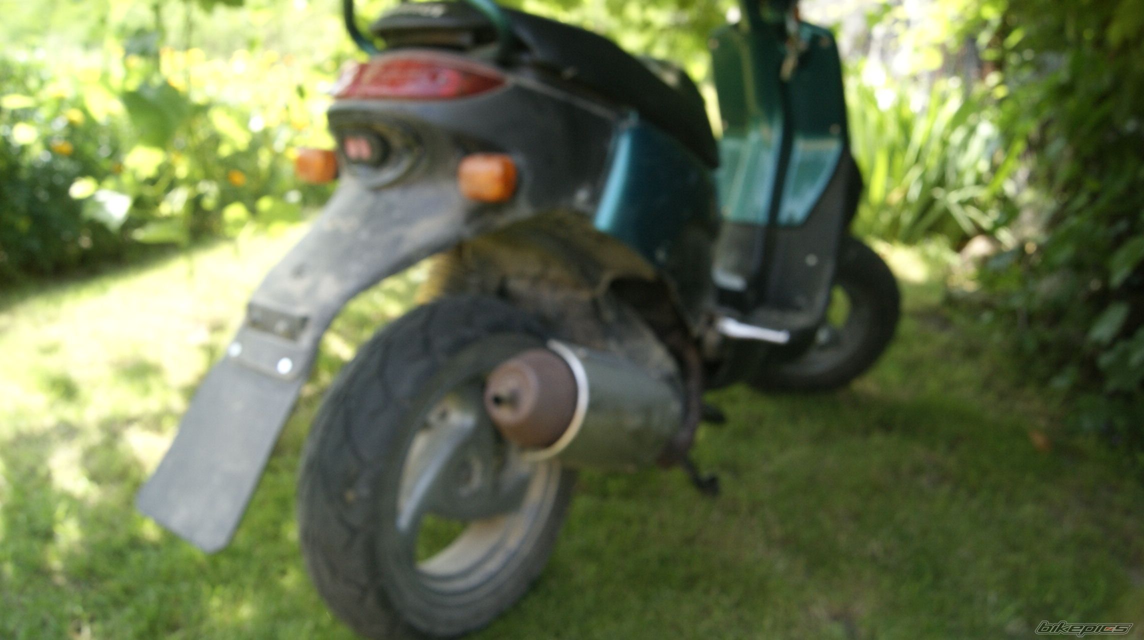 Photo 2687470