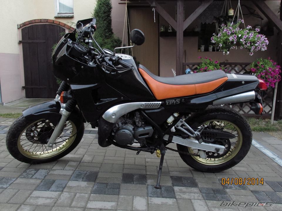 Photo 2687555