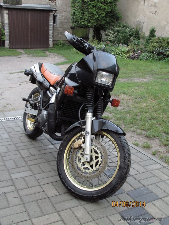 Photo 2687556