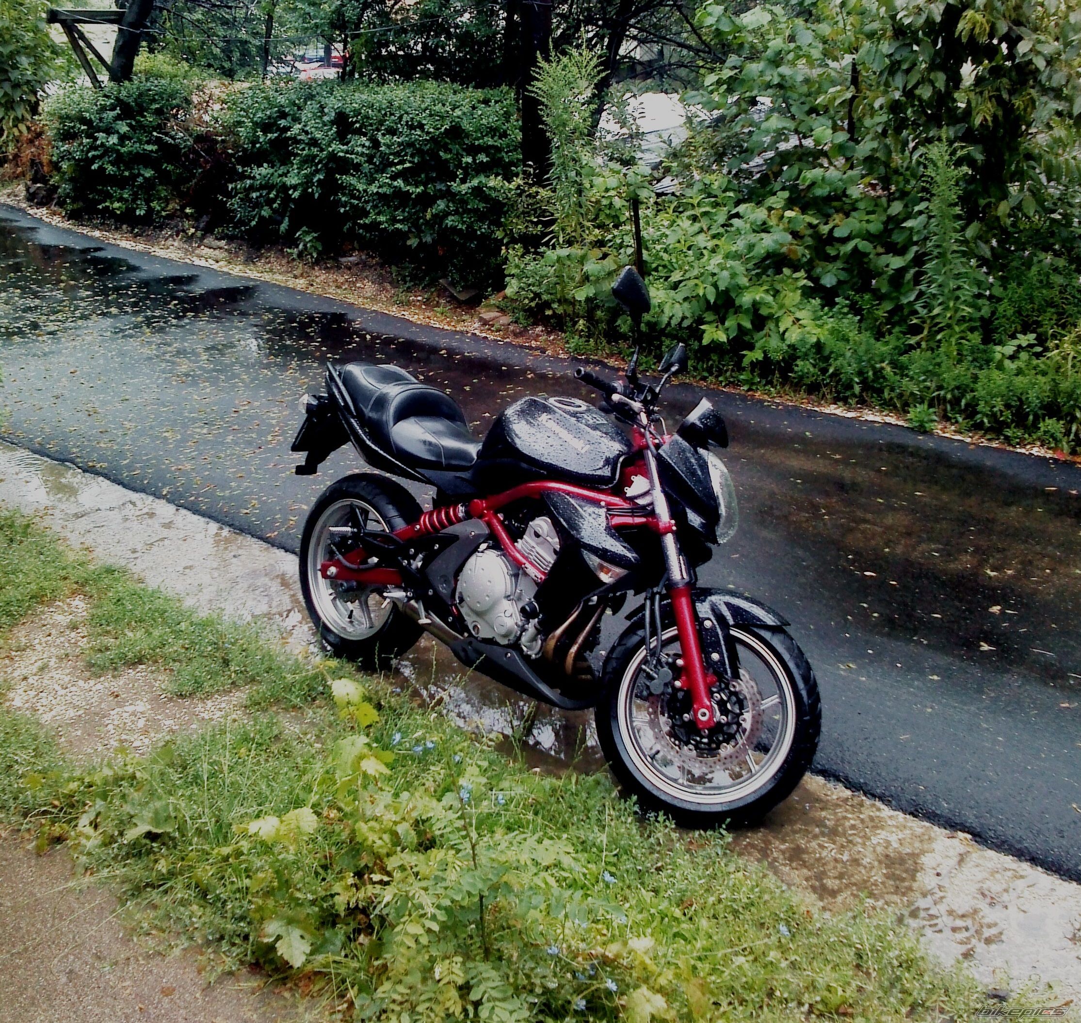 Photo 2687559