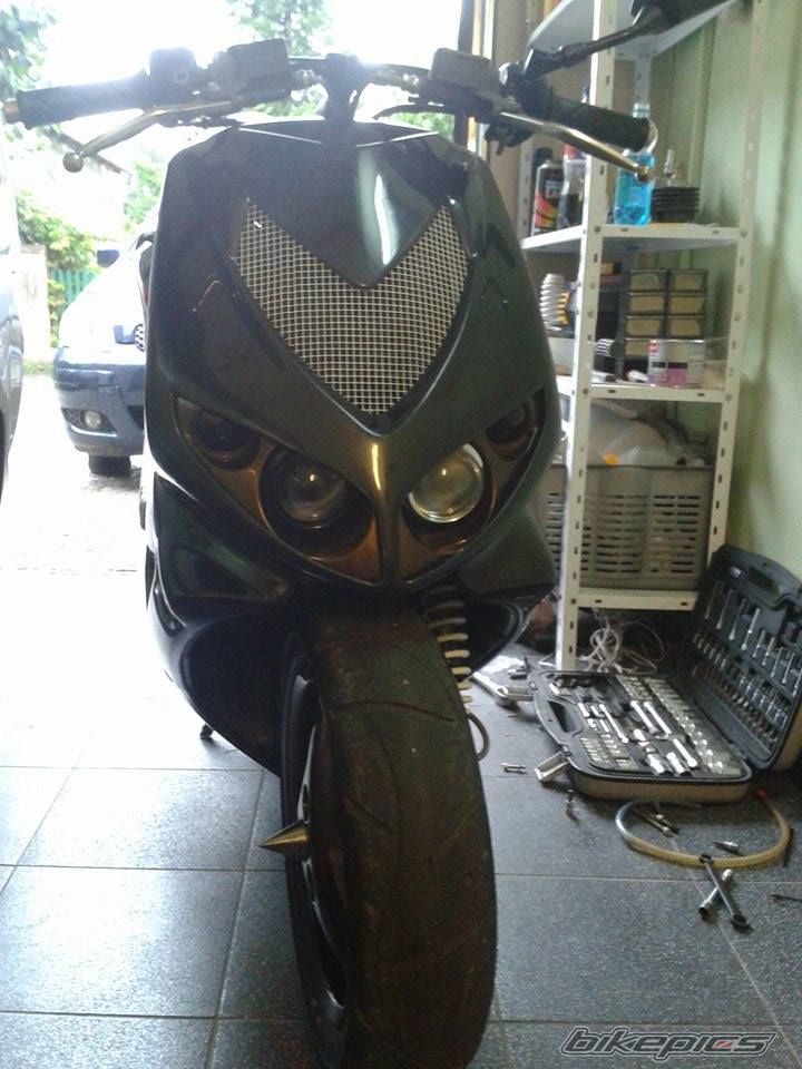 Photo 2687598