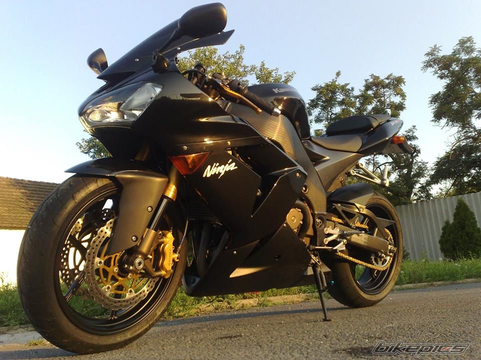Photo 2687843